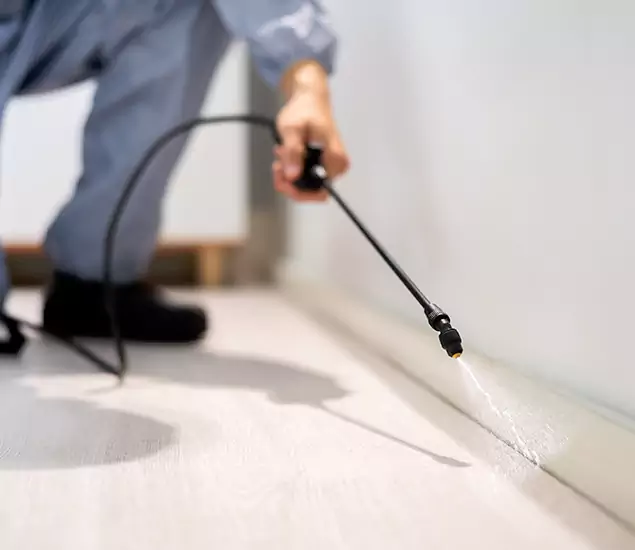 About Our Liquid Termite Treatment Experts in Centreville, VA