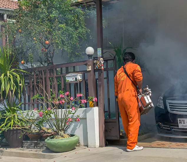 Your Proven Mosquito Fogging Company in Centreville, VA