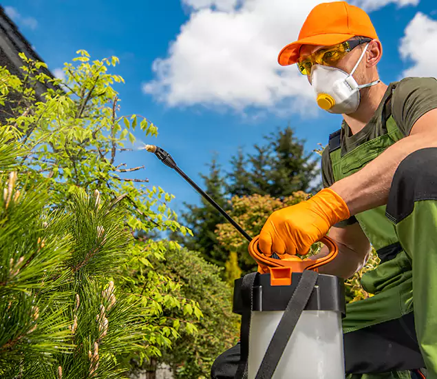 Your Best Bug Spray for Home Team in Centreville, VA