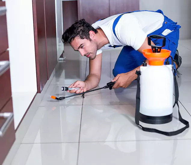Reliable Professional Mouse Removal: Your Best Mouse Control Company in Centreville, VA