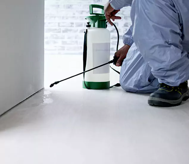Affordable Pest Control Experts in Centreville, VA