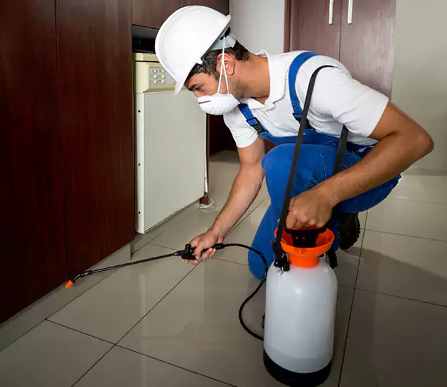 Advanced Termite Pre Treatment Experts in Centreville, VA