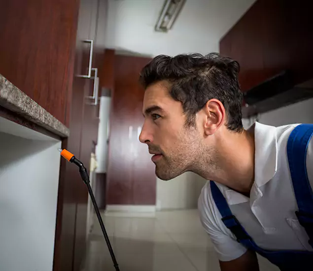 Expert Rodent in Attic Removal: Your Proven Pest Specialists in Centreville, VA