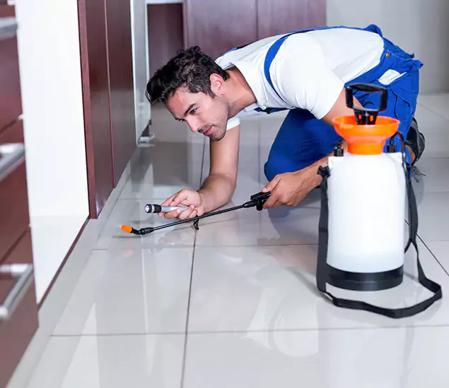 Advanced Slab Termite Treatment Experts You Can Trust&nbsp;in Centreville, VA