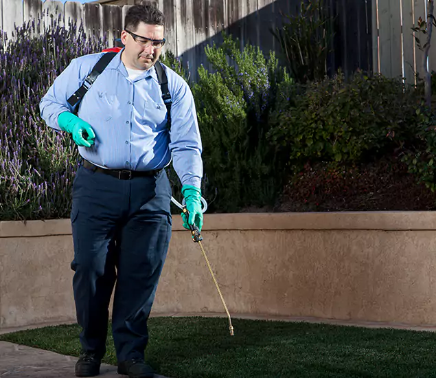Reliable Termite Barrier Treatment Experts in Centreville, VA