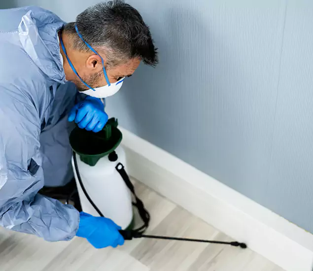 Reliable Termite Cost Experts in Centreville, VA