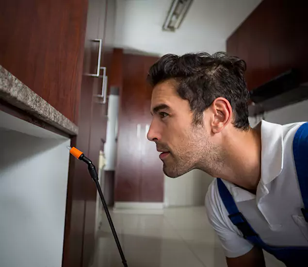 Termite Inspection Cost Experts You Can Trust in Centreville, VA