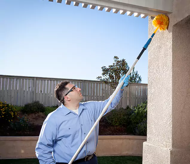 Your Trusted Wasp Removal Company in Centreville, VA