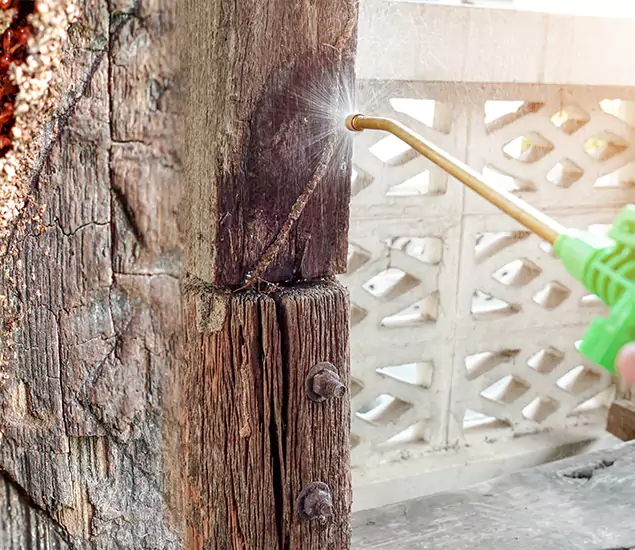About Wood Termite Treatment Services in Centreville, VA
