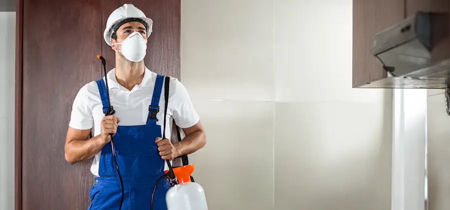 Per Room Bed Bug Cost in Centreville