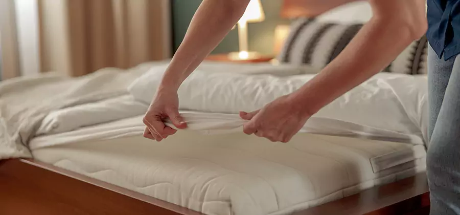 Bed Bug Extermination Services in Centreville