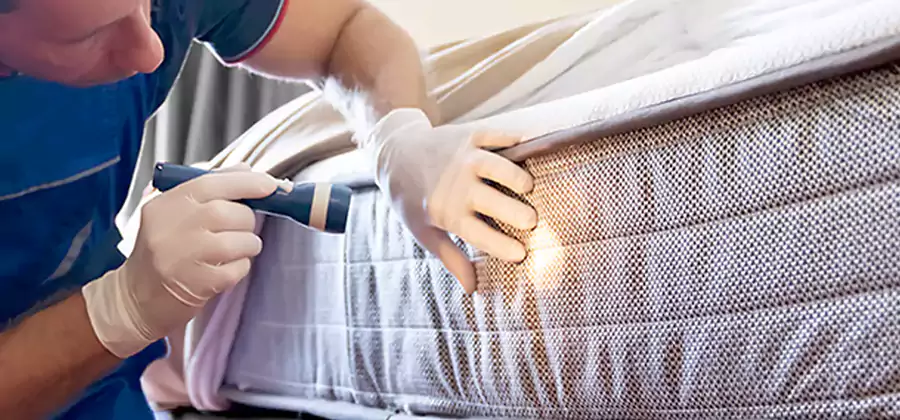 Residential Bed Bug Treatment Cost in Centreville