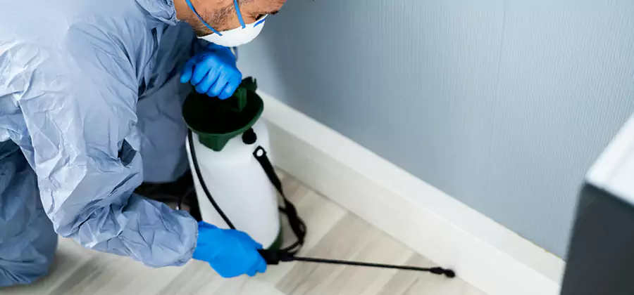 Fumigate Apartment Roaches in Centreville