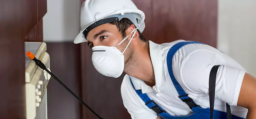 Injection Foam Treatment for Drywood Termites in Centreville