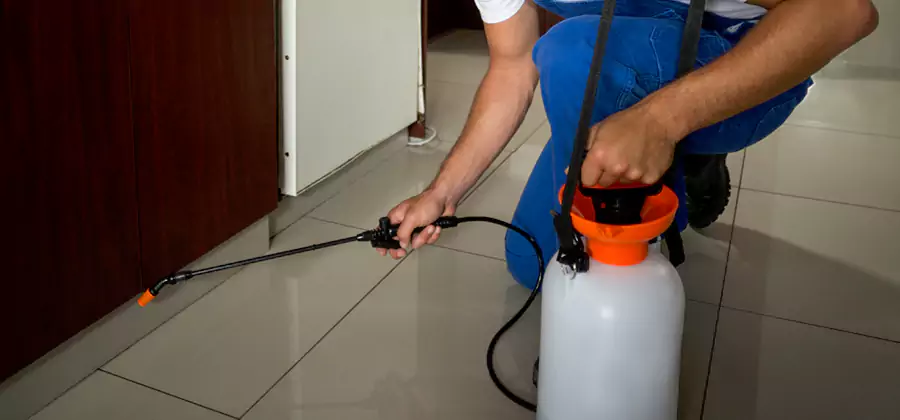 Indoor Mosquito Treatment in Centreville