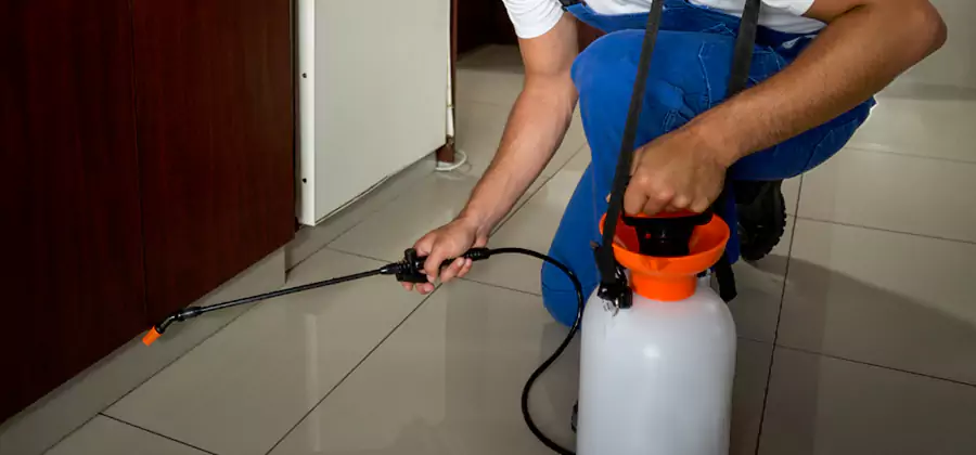 Indoor Insect Killer Solutions in Centreville