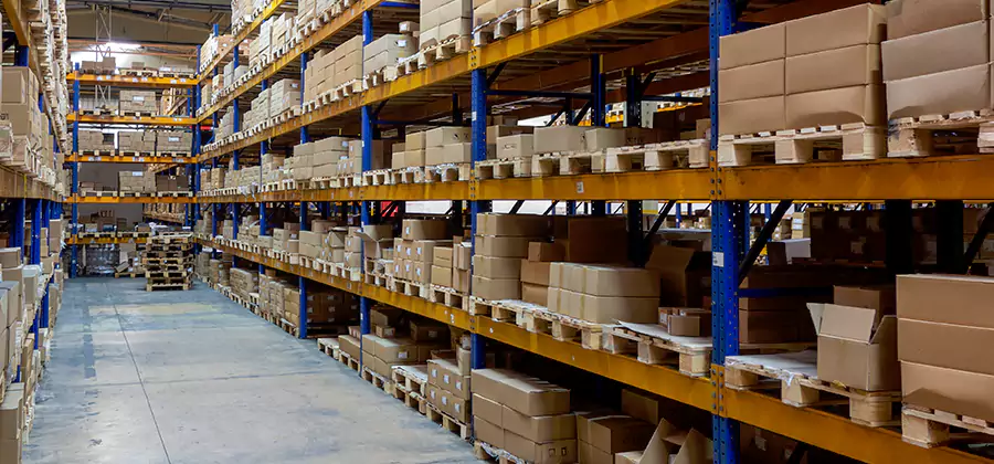 Warehouse Pest Control in Centreville