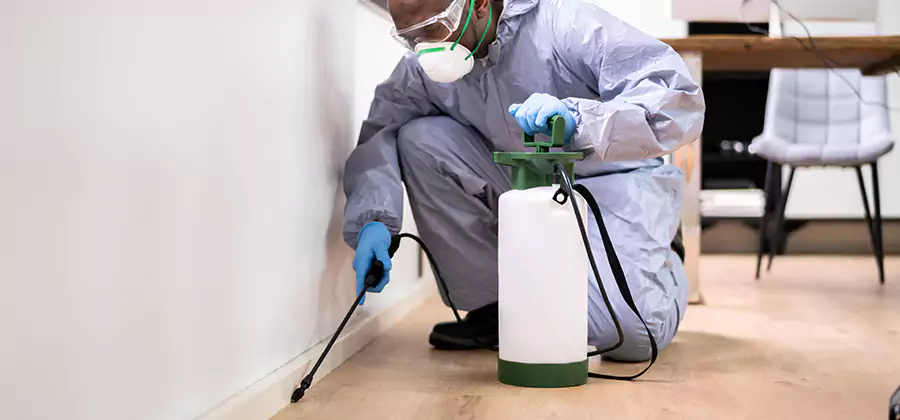 Long Lasting Mosquito Treatment in Centreville