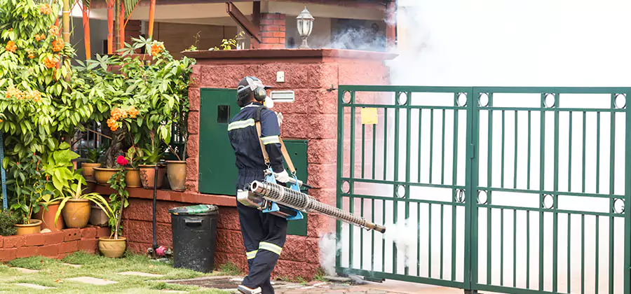 Backyard Mosquito Foggers Service in Centreville
