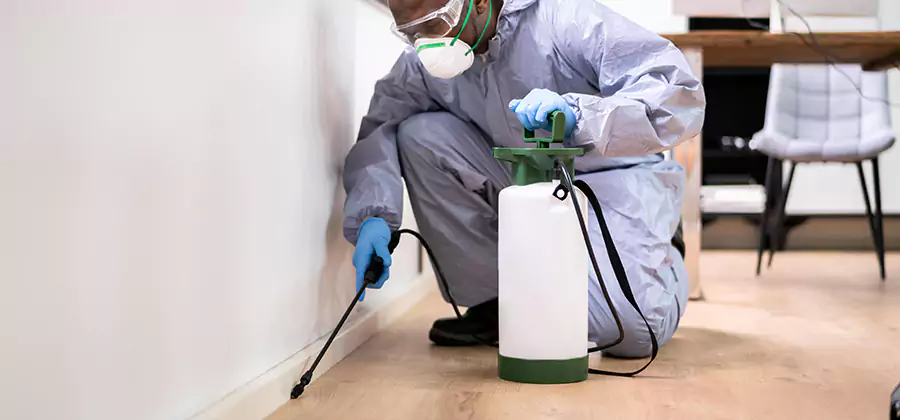 No Tent Termite Extermination With Electric Tool in Centreville