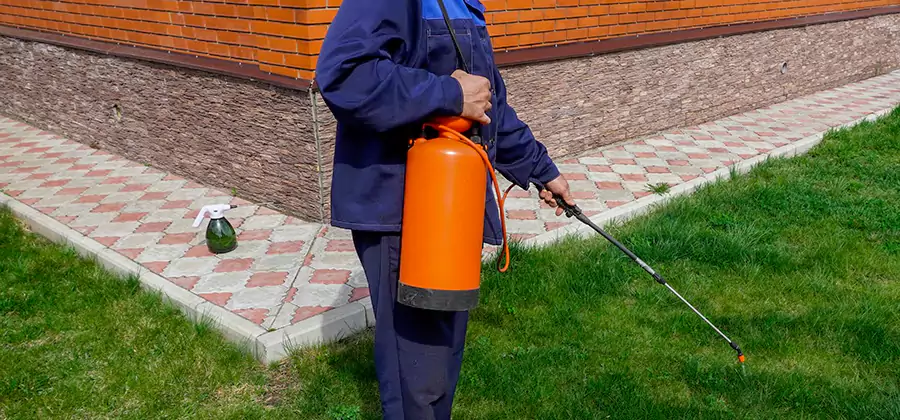 Non Toxic Termite Treatment in Centreville