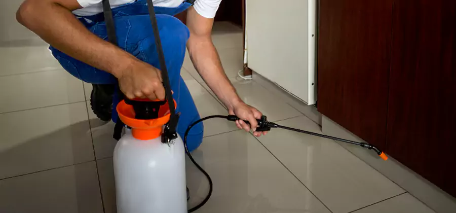 One Time Termite Control in Centreville