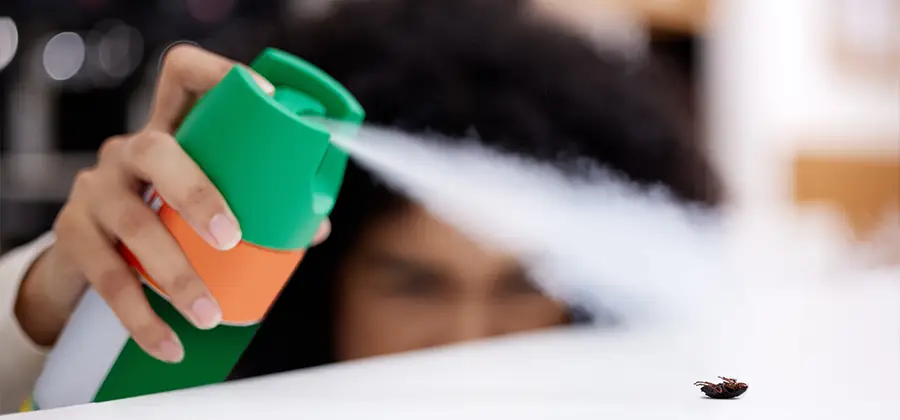 Child Safe Bed Bug Treatment in Centreville