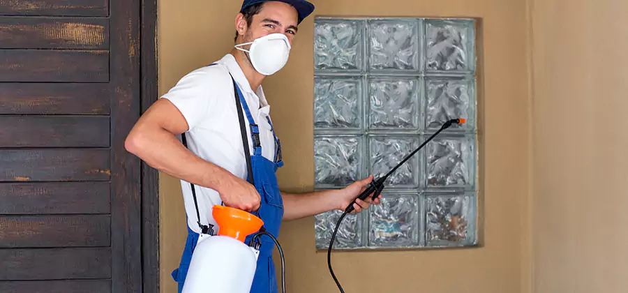 Pre-Construction Termite Treatment in Centreville