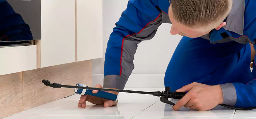 Moisture Treatment For Termite Control Service in Centreville