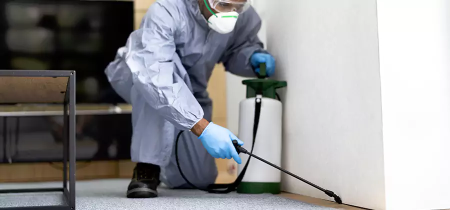 Wood Protection Termite Treatment in Centreville