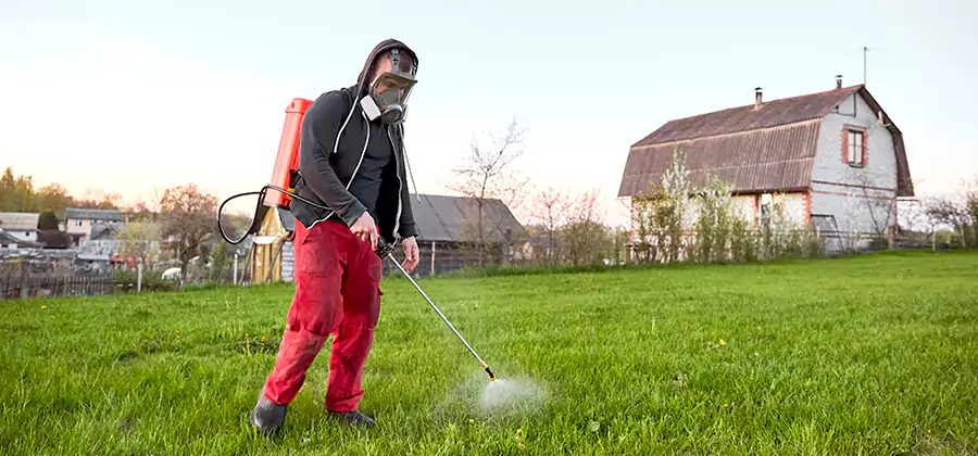 Flea and Tick Pest Control in Centreville