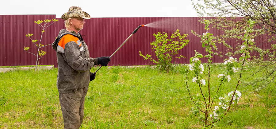 Flea and Tick Spray for Yard in Centreville