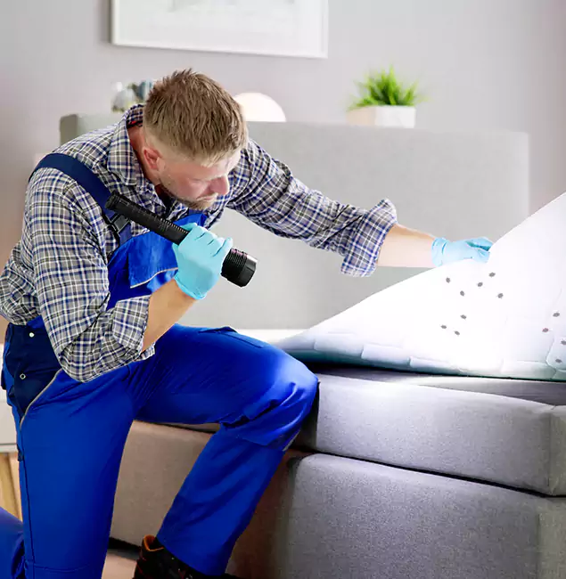 Why Choose Centreville Pest Control Pro For Bed Bug Heat Treatment in Centreville, VA?