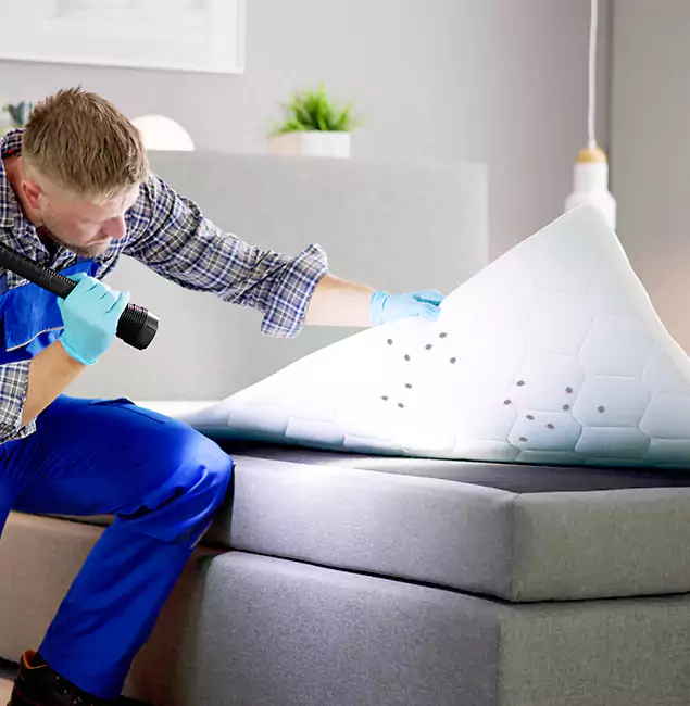 Why Choose Centreville Pest Control Pro in Centreville, VA?