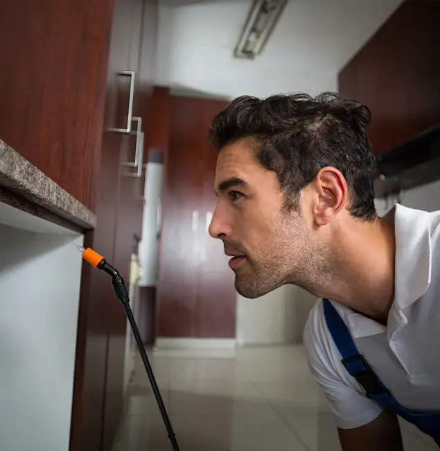 Why Choose Centreville Pest Control Pro for Bed Bug Removal Cost in Centreville, VA?