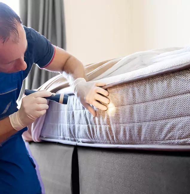 Why Choose Centreville Pest Control Pro for Bed Bug Services in Centreville, VA?