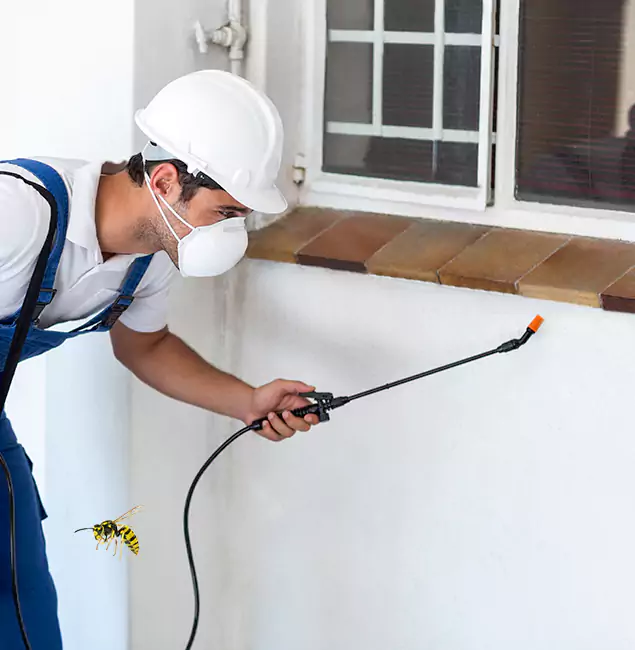 Why Centreville Property Owners Choose Centreville Pest Control Pro for Bee Nest Removal?
