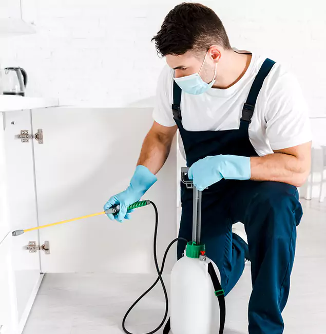 Why Choose Centreville Pest Control Pro for Emergency Pest Control in Centreville?