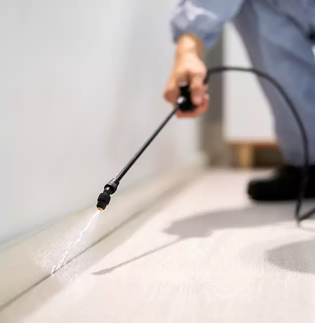 Why Choose Centreville Pest Control Pro for Termite Treatment in Centreville, VA?