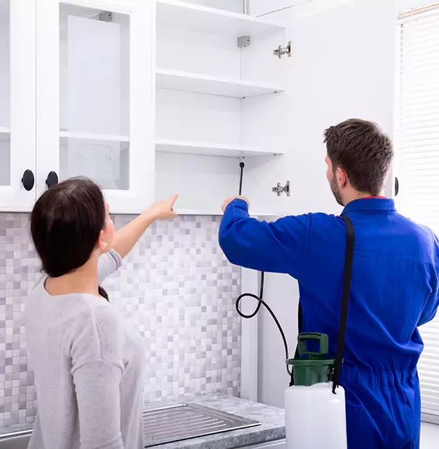 Why Centreville Property Owners Choose Centreville Pest Control Pro for Ground Bee Removal?