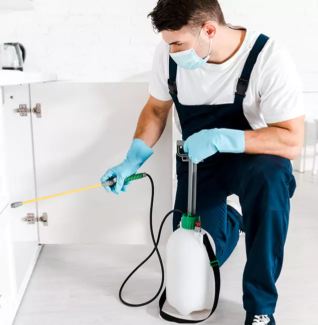 Why Choose Centreville Pest Control Pro for Indoor Pest Control in Centreville, VA?