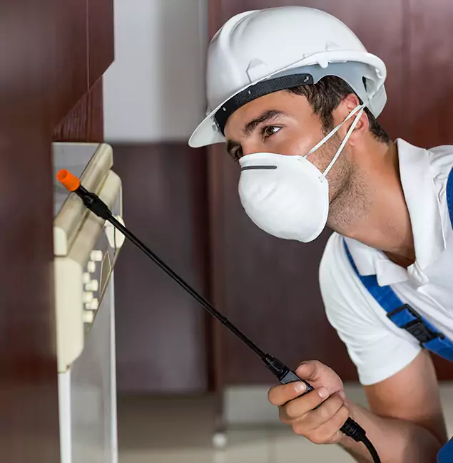 Why Centreville Homeowners Rely on Centreville Pest Control Pro for Tick Treatment?