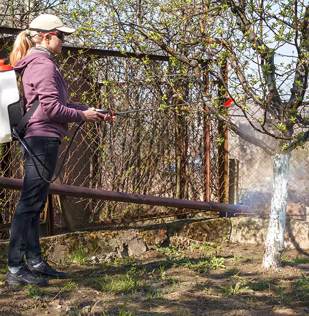 Why Centreville Homeowners Choose Centreville Pest Control Pro for Mosquito Abatement?