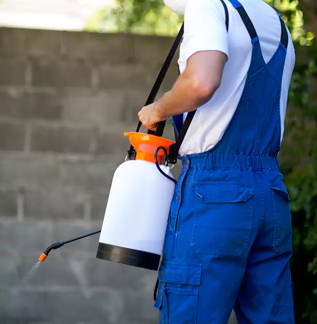 Why Centreville Homeowners Rely on Centreville Pest Control Pro for Mosquito Control?