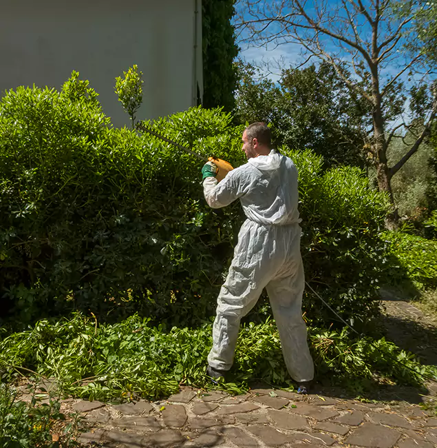 Why Centreville Pest Control Pro Leads Mosquito Control in Centreville, VA?