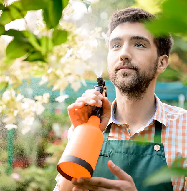 Why Centreville Pest Control Pro Is the Best Mosquito Control Company in Centreville, VA?