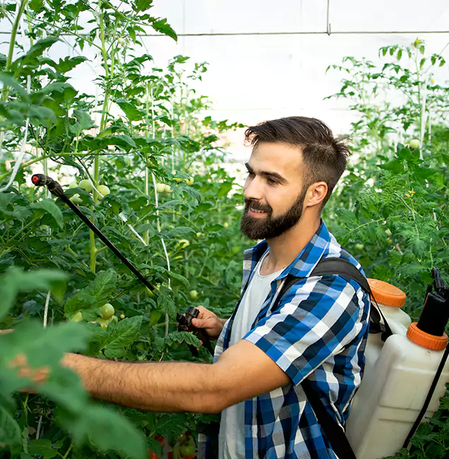 Why Centreville Homeowners Choose Centreville Pest Control Pro for Mosquito Spraying?