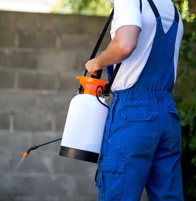 Why Centreville Pest Control Pro Delivers the Best Mosquito Control in Centreville, VA?