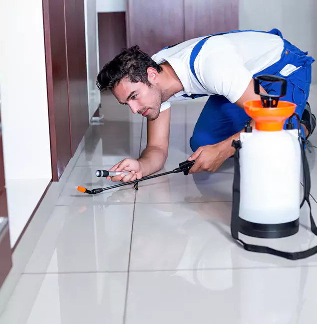 Why Centreville Pest Control Pro Is the Proven Choice in Centreville, VA?