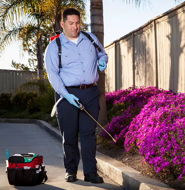 Why Choose Centreville Pest Control Pro in Centreville, VA?